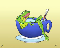 The Frog in Boiling Water