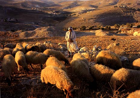 Abused Women Following the Shepherd