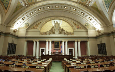 Resources for Fighting Custody Bills